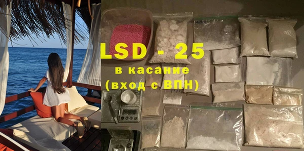 шишки Нея