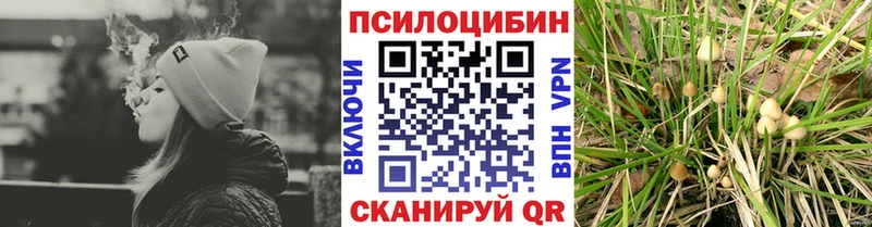 Галлюциногенные грибы MAGIC MUSHROOMS  продажа наркотиков  даркнет какой сайт  Холмск  ссылка на мегу ССЫЛКА 